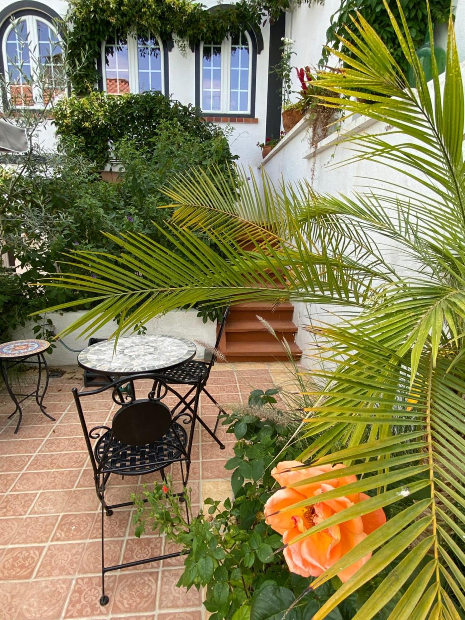 Patio Da Villa - Coruche Boutique Guest House エクステリア 写真