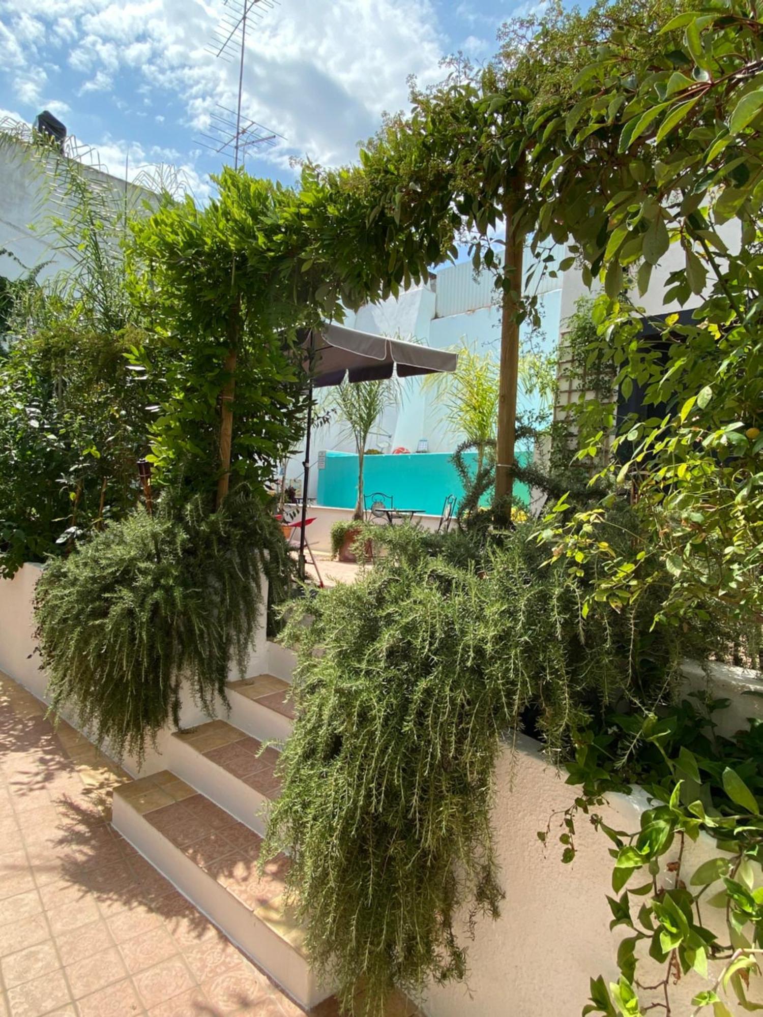 Patio Da Villa - Coruche Boutique Guest House エクステリア 写真